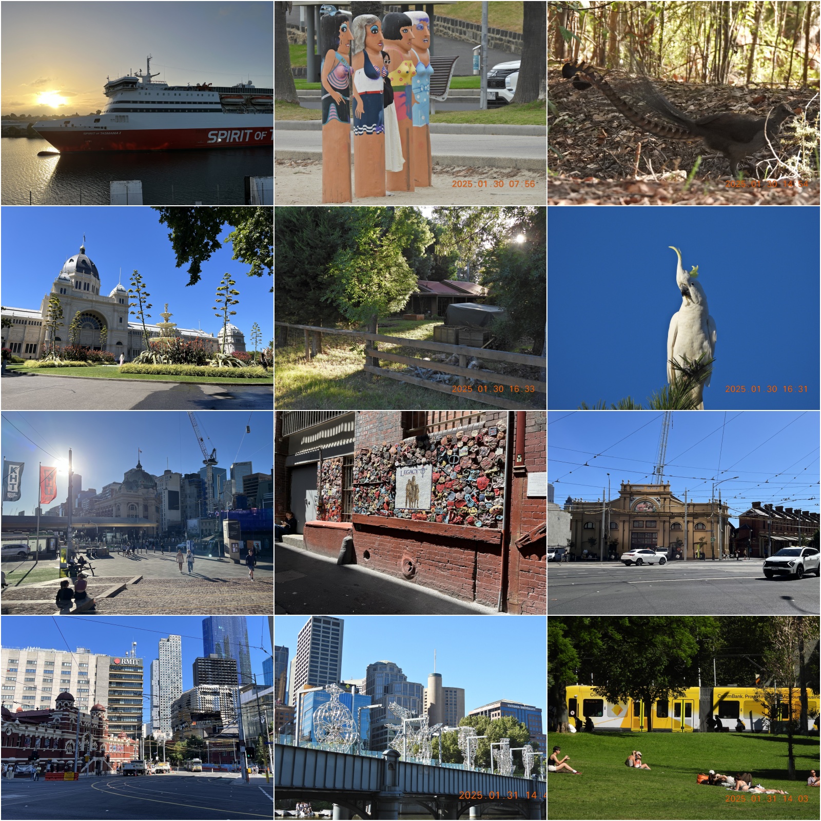 2024-melbourne.jpg